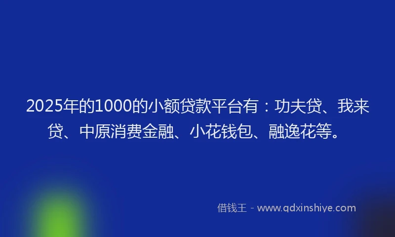 2025年的1000的小额贷款平台有：功夫贷、我来贷、中原消费金融、小花钱包、融逸花等。