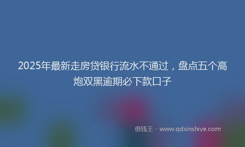 2025年最新走房贷银行流水不通过，盘点五个高炮双黑逾期必下款口子