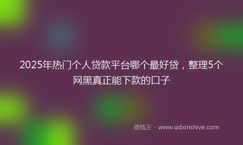 2025年热门个人贷款平台哪个最好贷，整理5个网黑真正能下款的口子