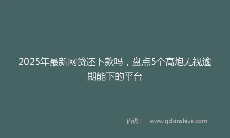 2025年最新网贷还下款吗，盘点5个高炮无视逾期能下的平台