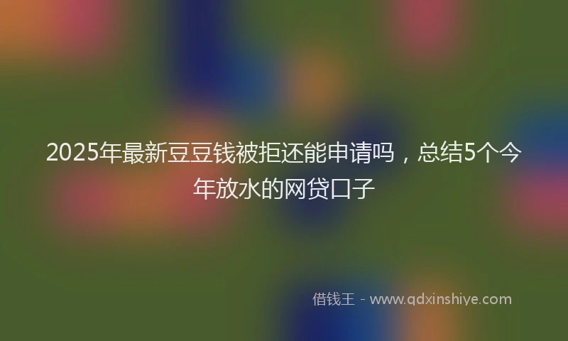 2025年最新豆豆钱被拒还能申请吗，总结5个今年放水的网贷口子
