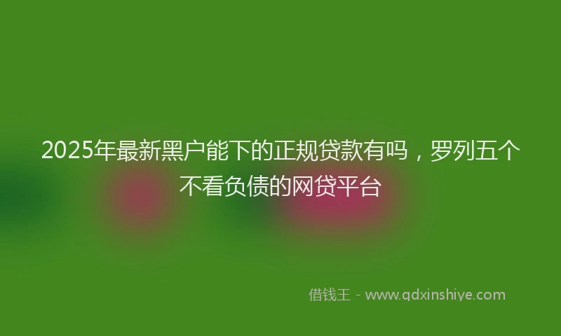 2025年最新黑户能下的正规贷款有吗，罗列五个不看负债的网贷平台