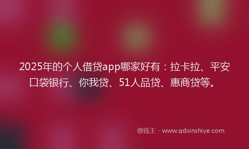 2025年的个人借贷app哪家好有：拉卡拉、平安口袋银行、你我贷、51人品贷、惠商贷等。