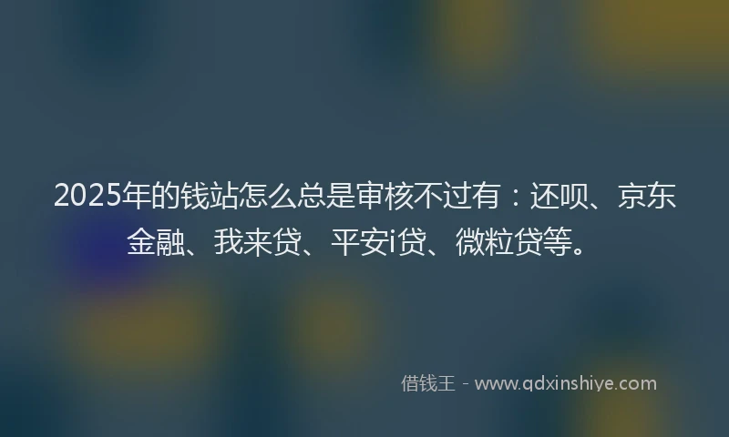 2025年的钱站怎么总是审核不过有：还呗、京东金融、我来贷、平安i贷、微粒贷等。