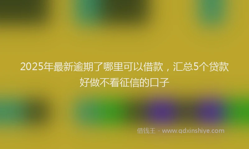 2025年最新逾期了哪里可以借款，汇总5个贷款好做不看征信的口子