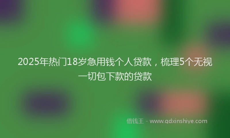2025年热门18岁急用钱个人贷款，梳理5个无视一切包下款的贷款