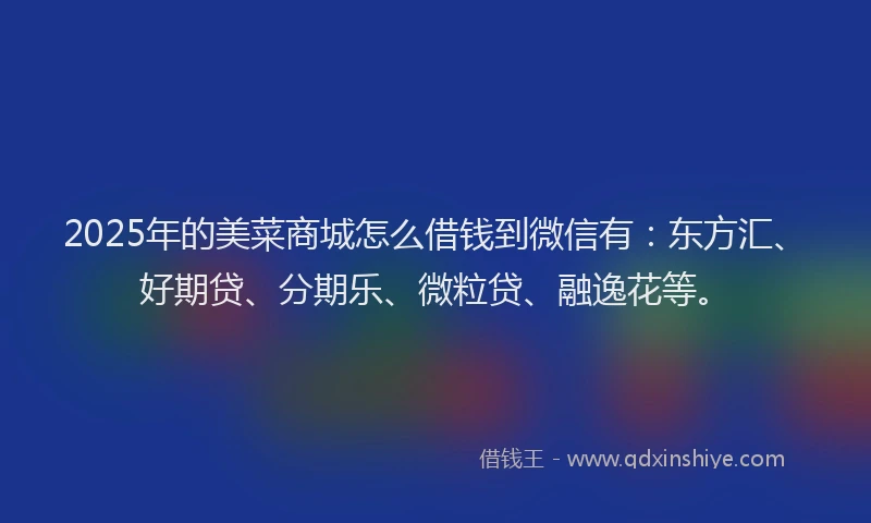 2025年的美菜商城怎么借钱到微信有：东方汇、好期贷、分期乐、微粒贷、融逸花等。