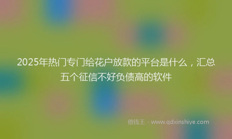 2025年热门专门给花户放款的平台是什么，汇总五个征信不好负债高的软件