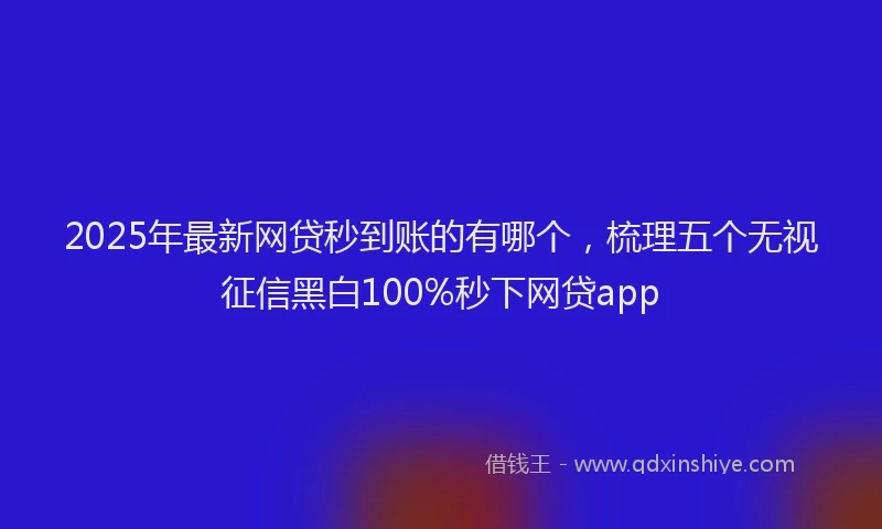 2025年最新网贷秒到账的有哪个，梳理五个无视征信黑白100%秒下网贷app