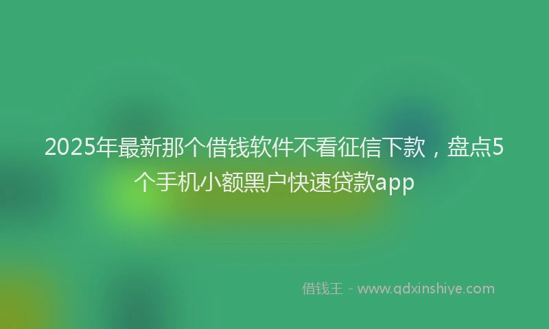2025年最新那个借钱软件不看征信下款，盘点5个手机小额黑户快速贷款app