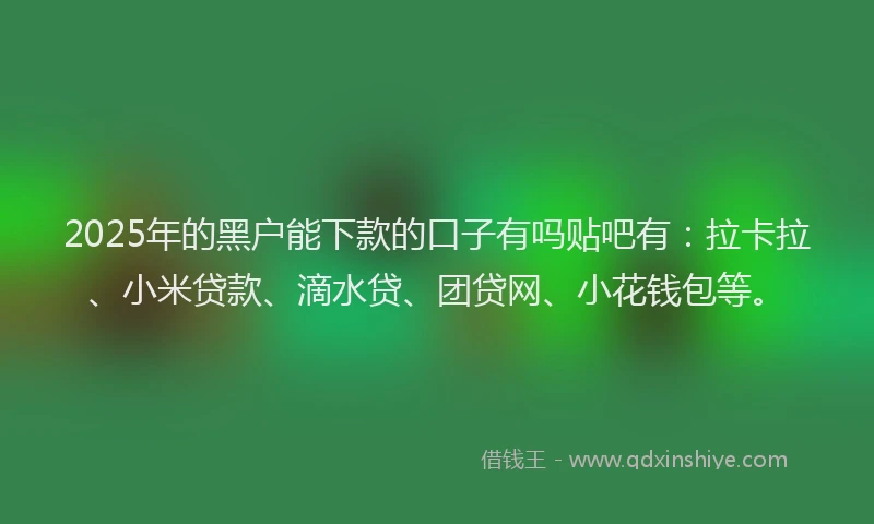 2025年的黑户能下款的口子有吗贴吧有：拉卡拉、小米贷款、滴水贷、团贷网、小花钱包等。