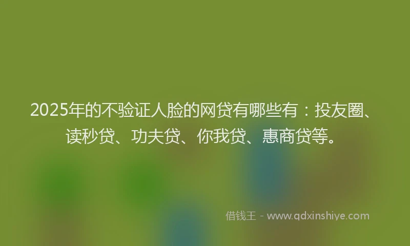 2025年的不验证人脸的网贷有哪些有：投友圈、读秒贷、功夫贷、你我贷、惠商贷等。