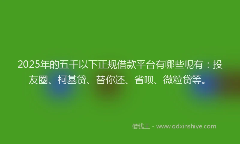 2025年的五千以下正规借款平台有哪些呢有：投友圈、柯基贷、替你还、省呗、微粒贷等。