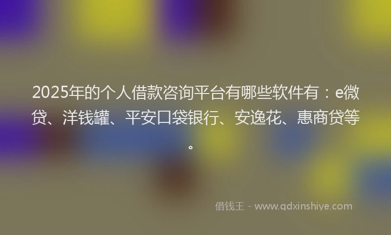 2025年的个人借款咨询平台有哪些软件有：e微贷、洋钱罐、平安口袋银行、安逸花、惠商贷等。