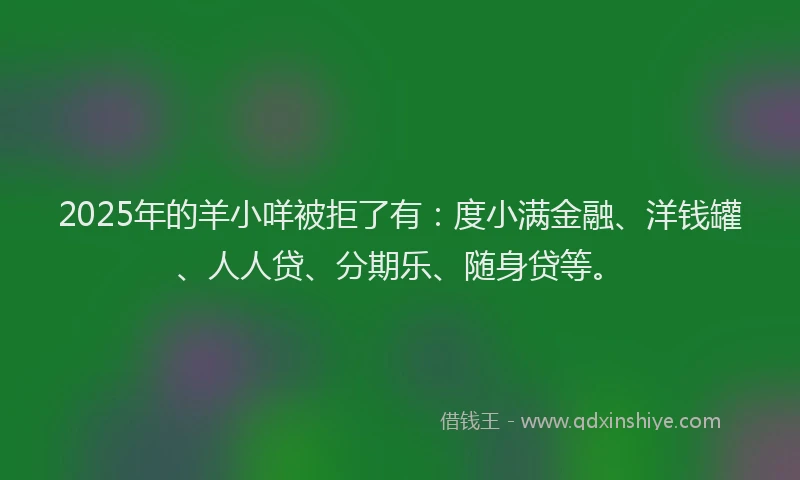 2025年的羊小咩被拒了有：度小满金融、洋钱罐、人人贷、分期乐、随身贷等。