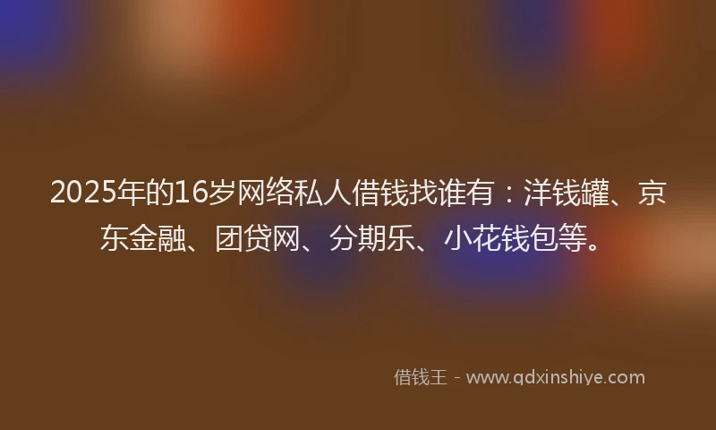 2025年的16岁网络私人借钱找谁有：洋钱罐、京东金融、团贷网、分期乐、小花钱包等。