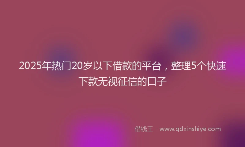 2025年热门20岁以下借款的平台，整理5个快速下款无视征信的口子