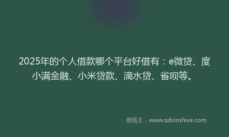 2025年的个人借款哪个平台好借有：e微贷、度小满金融、小米贷款、滴水贷、省呗等。