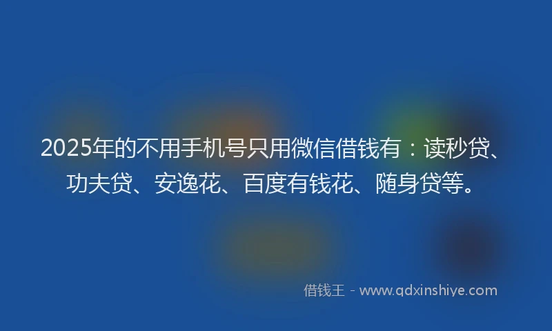 2025年的不用手机号只用微信借钱有：读秒贷、功夫贷、安逸花、百度有钱花、随身贷等。