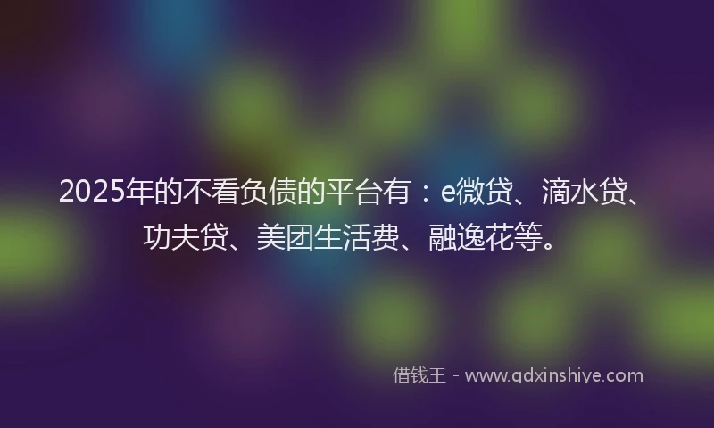 2025年的不看负债的平台有：e微贷、滴水贷、功夫贷、美团生活费、融逸花等。