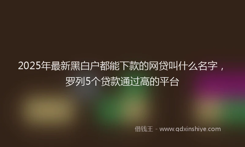 2025年最新黑白户都能下款的网贷叫什么名字，罗列5个贷款通过高的平台