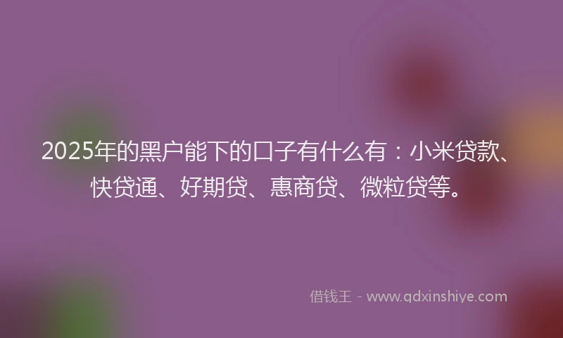 2025年的黑户能下的口子有什么有：小米贷款、快贷通、好期贷、惠商贷、微粒贷等。