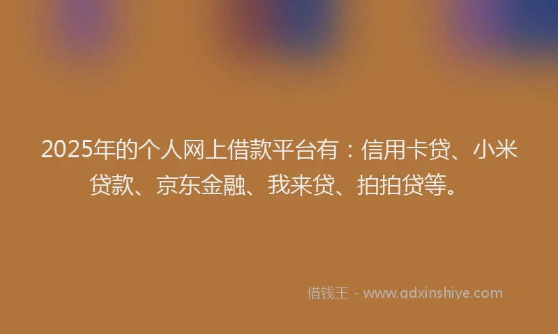 2025年的个人网上借款平台有：信用卡贷、小米贷款、京东金融、我来贷、拍拍贷等。