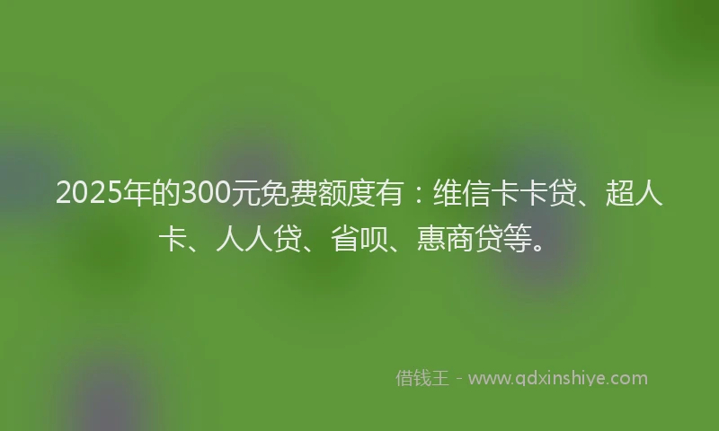 2025年的300元免费额度有：维信卡卡贷、超人卡、人人贷、省呗、惠商贷等。