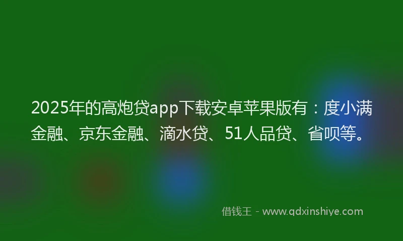 2025年的高炮贷app下载安卓苹果版有：度小满金融、京东金融、滴水贷、51人品贷、省呗等。