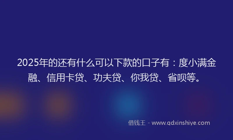 2025年的还有什么可以下款的口子有：度小满金融、信用卡贷、功夫贷、你我贷、省呗等。