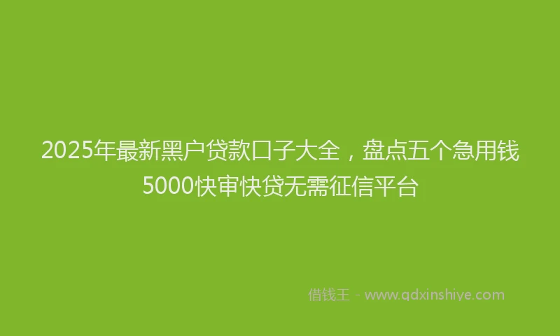 2025年最新黑户贷款口子大全，盘点五个急用钱5000快审快贷无需征信平台