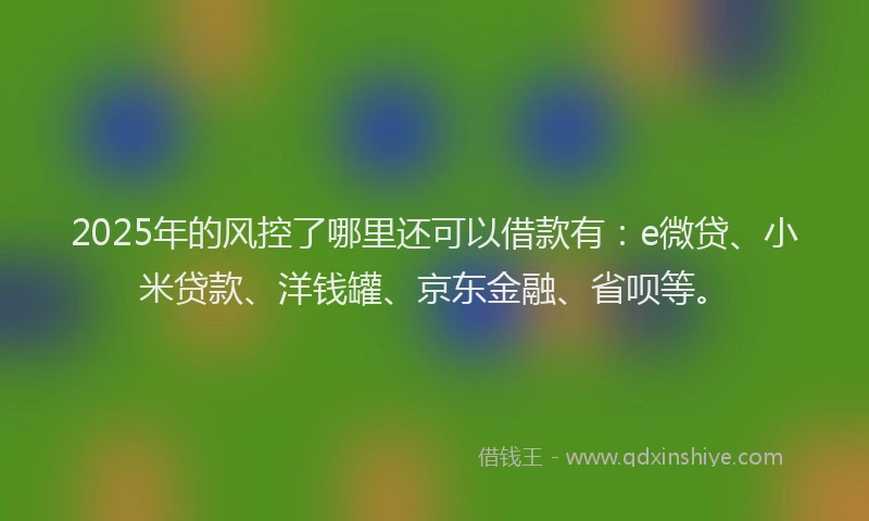 2025年的风控了哪里还可以借款有：e微贷、小米贷款、洋钱罐、京东金融、省呗等。