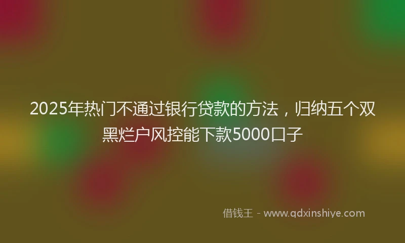 2025年热门不通过银行贷款的方法，归纳五个双黑烂户风控能下款5000口子