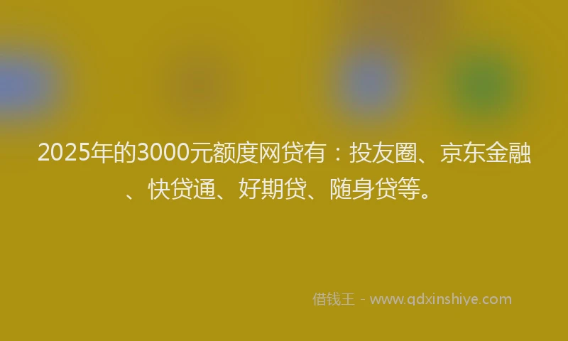 2025年的3000元额度网贷有：投友圈、京东金融、快贷通、好期贷、随身贷等。