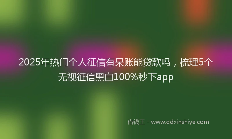 2025年热门个人征信有呆账能贷款吗，梳理5个无视征信黑白100%秒下app