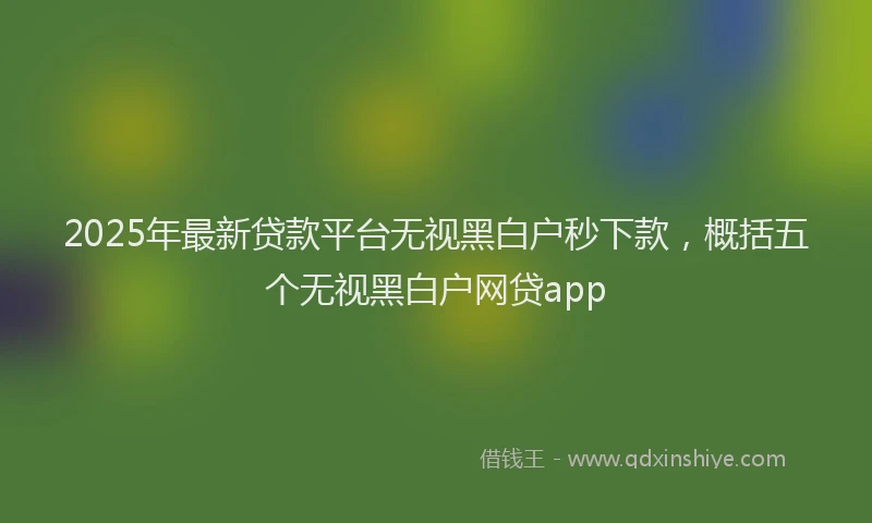 2025年最新贷款平台无视黑白户秒下款，概括五个无视黑白户网贷app
