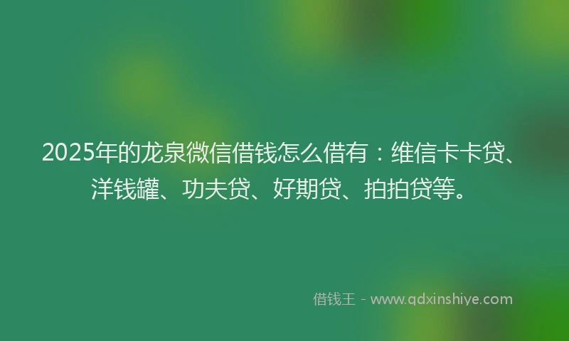 2025年的龙泉微信借钱怎么借有：维信卡卡贷、洋钱罐、功夫贷、好期贷、拍拍贷等。