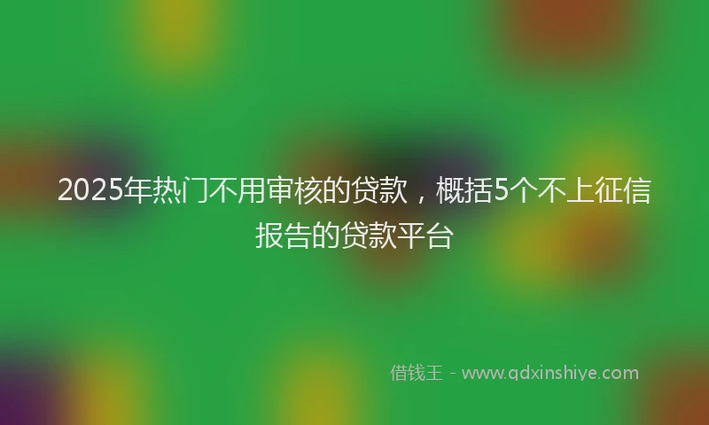 2025年热门不用审核的贷款，概括5个不上征信报告的贷款平台