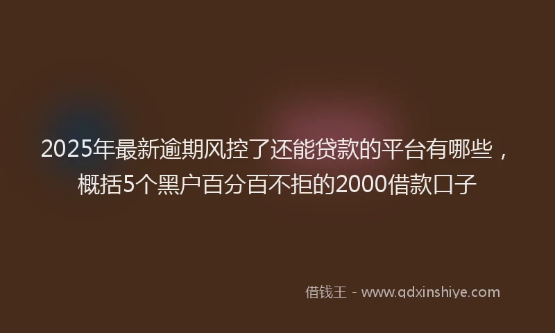 2025年最新逾期风控了还能贷款的平台有哪些，概括5个黑户百分百不拒的2000借款口子