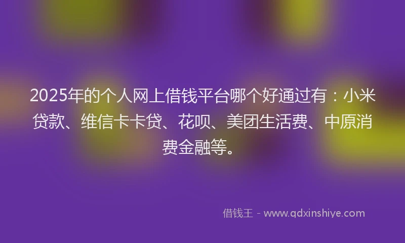 2025年的个人网上借钱平台哪个好通过有：小米贷款、维信卡卡贷、花呗、美团生活费、中原消费金融等。