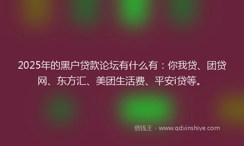 2025年的黑户贷款论坛有什么有：你我贷、团贷网、东方汇、美团生活费、平安i贷等。