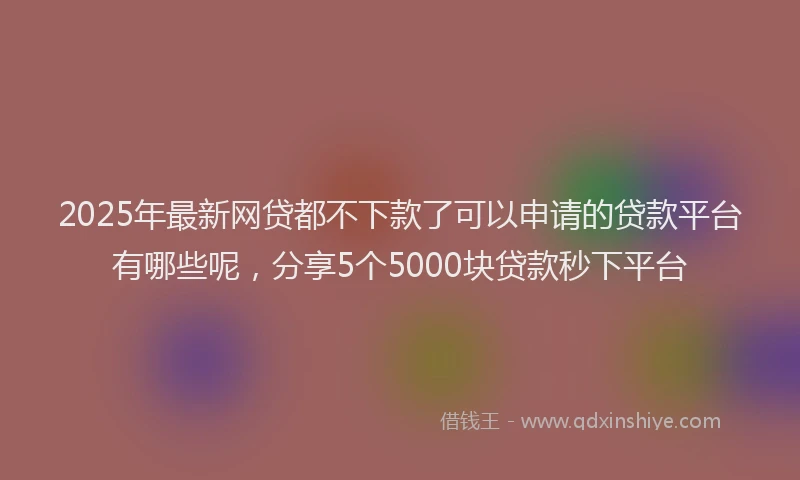 2025年最新网贷都不下款了可以申请的贷款平台有哪些呢，分享5个5000块贷款秒下平台