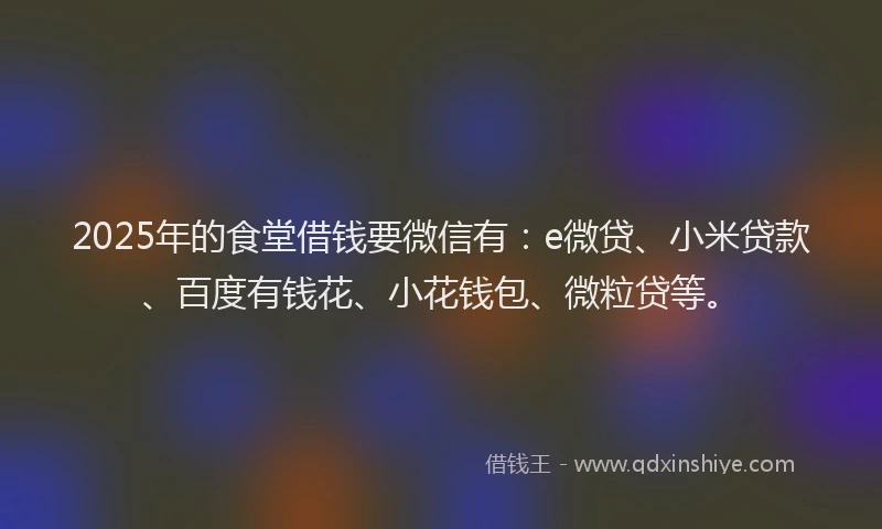 2025年的食堂借钱要微信有：e微贷、小米贷款、百度有钱花、小花钱包、微粒贷等。