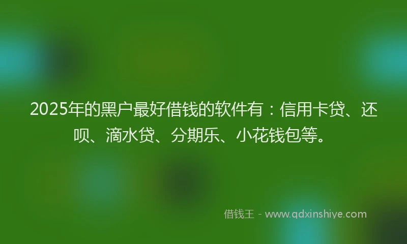 2025年的黑户最好借钱的软件有：信用卡贷、还呗、滴水贷、分期乐、小花钱包等。