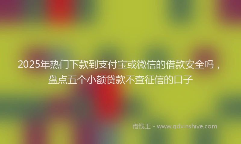 2025年热门下款到支付宝或微信的借款安全吗，盘点五个小额贷款不查征信的口子