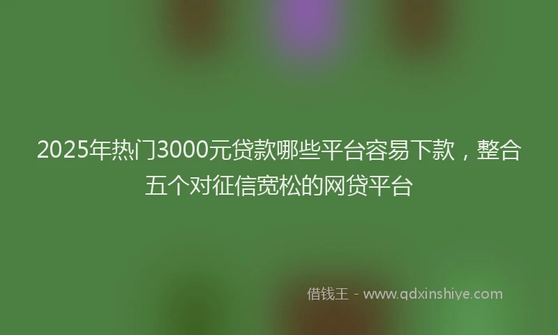2025年热门3000元贷款哪些平台容易下款，整合五个对征信宽松的网贷平台