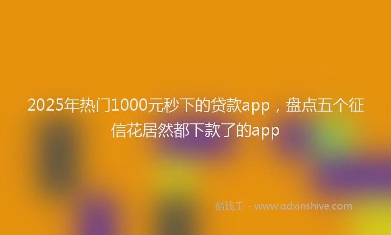 2025年热门1000元秒下的贷款app，盘点五个征信花居然都下款了的app