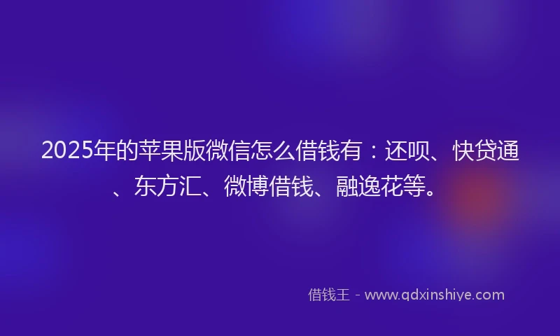 2025年的苹果版微信怎么借钱有：还呗、快贷通、东方汇、微博借钱、融逸花等。