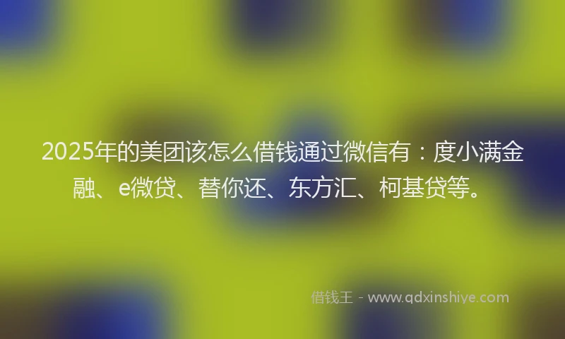 2025年的美团该怎么借钱通过微信有：度小满金融、e微贷、替你还、东方汇、柯基贷等。