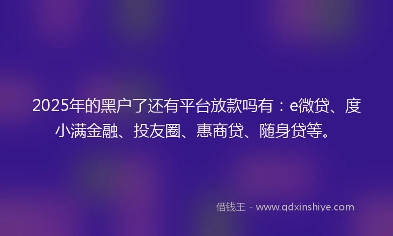 2025年的黑户了还有平台放款吗有：e微贷、度小满金融、投友圈、惠商贷、随身贷等。